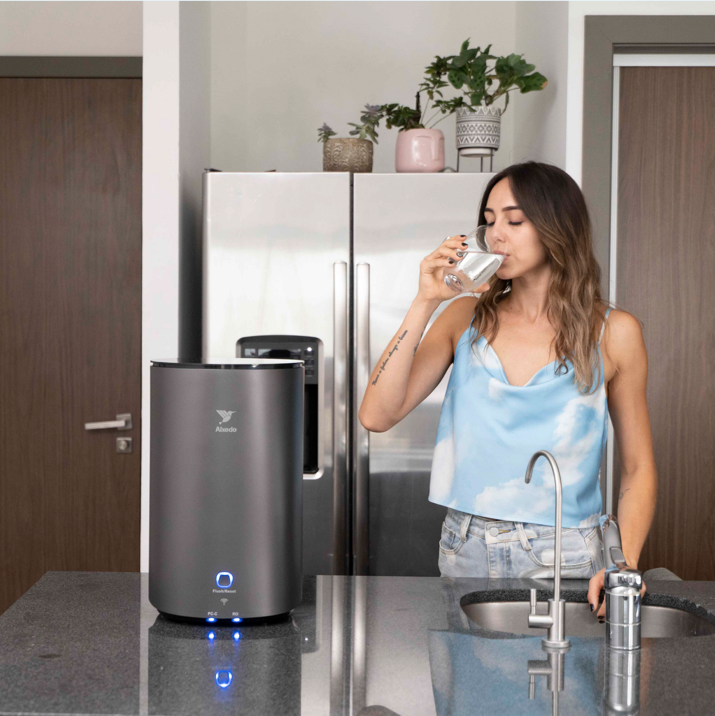 ALX1 - El Mejor Purificador De Agua