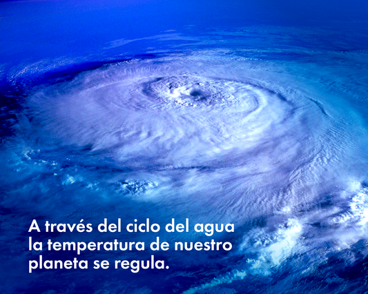 9 Curiosidades que No Conocías Sobre el Agua